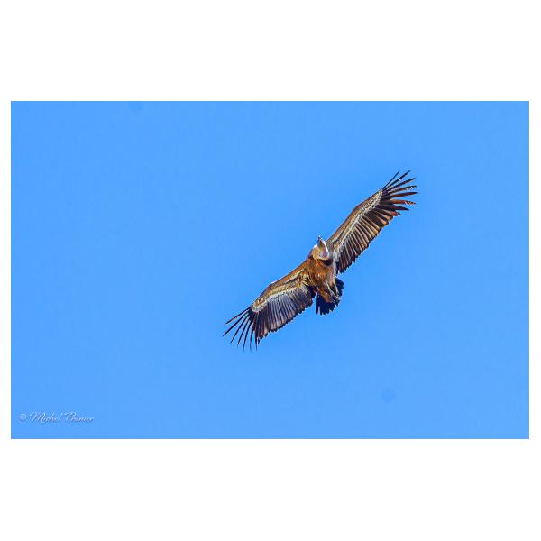 PHOTO84, CLUB, 84 , LUBERON